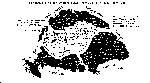 [Dismemberment of Hungary, 1920 (II) ]