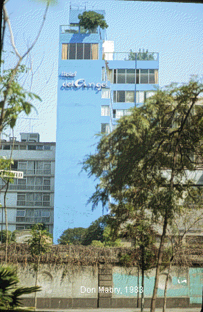 59.gif (81783 bytes)